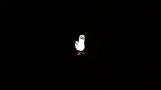 instragram viral 😱 duck 🦢 video... #instagram#duck# shot