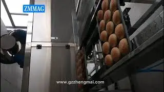 ZMMAG full automatic hamburg production line