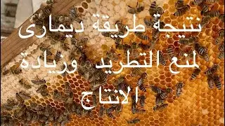 استخدام طريقة ديمارى ونتيجة ممتازة جدا Demaree method