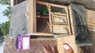 احسن طريقه تسوي بيت للطيور الحب 😂 لاتنسو الايك 