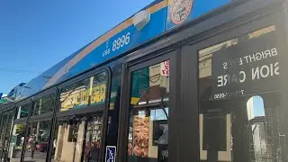 2023 Novabus LFS #8996 on the Q113 LIMITED @ Guy R Brewer Blvd/Baisley Blvd oh my god real
