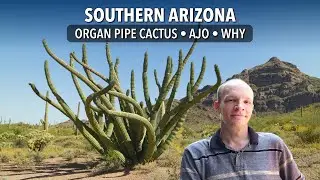 Crazy worlds of southern Arizona&rsquo;s back roads &bull; Organ Pipe to Tucson
