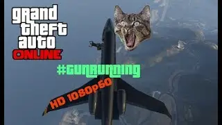GTA V | Gunrunning With the Cat