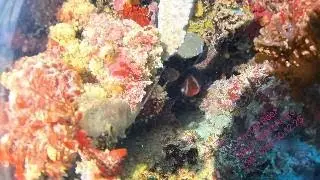 Secret Reef Rotto 30.12.25