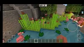 Розовый Фламинго | Wildlife Zoo # 25 | #Minecraft#Майн