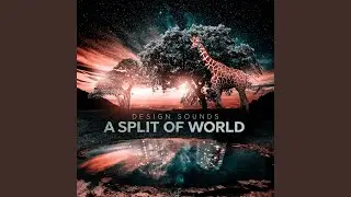 The War Of All Against All