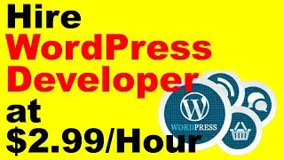 Hire WordPress Developer Virtual Assistant at $2 99 Per Hour in the India - AutoYourTask