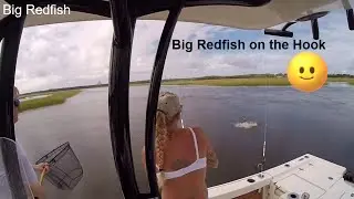 Exploring the Best Fishing Spots for Redfish in Jacksonville, Florida.