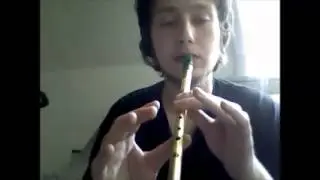 Braveheart theme on the tin whistle TUTORIAL