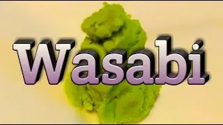 Wasabi