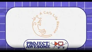 A Cat's Life Rescue- Project for Awesome 2025