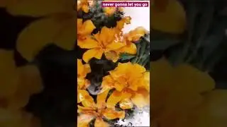 #nevergonnaletyougo