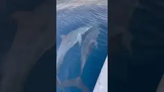 Something is attacking the boat...
