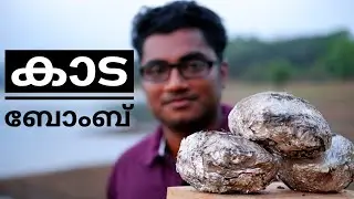 Mud Kada Fry | Kada Fry Recipe In Malayalam | Brothers Cook And Eat