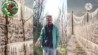 Apple Orchard Mein Chilling Hours Ki Asli Sachchai | Dimpl Panja