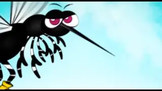 Dengue e Mosquito Aedes aegypti
