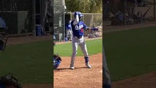 Andy Pages @andy_pages_abreu_18 hits a frozen rope #dodgersprosoects #ST24