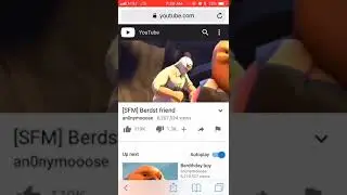 berdst friend