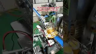 Fully automatic egg tart crust machine, Portuguese egg tart machine #eggtart#Portuguese egg tart