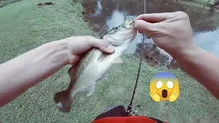 Hook Set Perfection 🎣🔥 | Monster Fish Hooked Instantly | Ultimate Fishing Reaction 2025