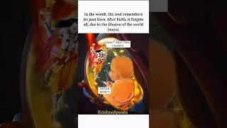 Krishna Divine Message