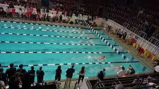 M 100 Fly