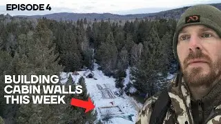 Winter Log Cabin Build on Off-Grid Homestead |EP4|