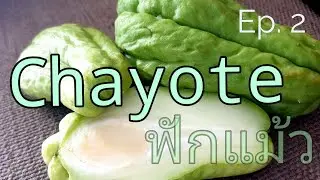 Chayote, Mirliton Squash, ฟักแม้ว Different Vegetables on Keto - คีโต Low Carb Veg Ep2
