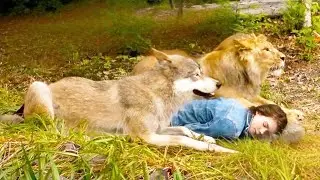 WOLF Aur LION Ne Bachai Ladki Ki JAAN | भेड़िया और शेर ने लड़की की जान बचाई | Movie Explained