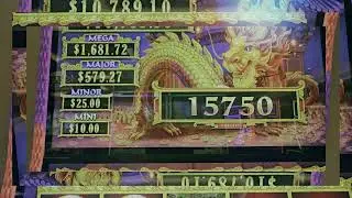 LionLink gone wild
