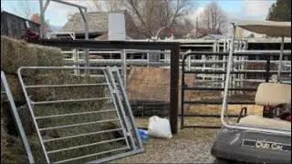 Installing More Brazzen Fence Panels / Moving Animals / Adding Gates / Live Stream