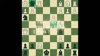 Queen Sacrifice | #edit #chessplayer #chessgame #brilliant #basheergambit