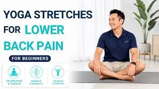 Best Beginner Yoga Stretches for Lower Back Pain