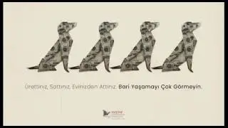 BIllboard Campaign to withdraw the law on stray animals in Turkey