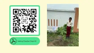 Innovative Eco Club Activity &ndash; Tree Tagging with QR Codes