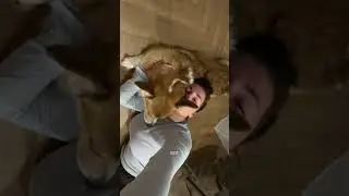 Беру по этому артикулу #WW303870 (копируй все те с буквами и вставляй в поиск на ВБ)