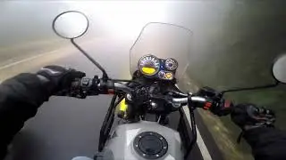 Biker&rsquo;s Paradise: Darjeeling&rsquo;s Fog-Covered Roads - Lamahatta | Must-See! Part - 1