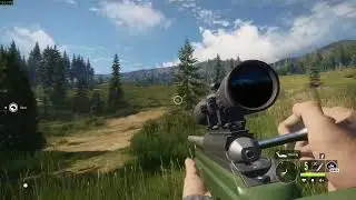 theHunter  Call of the Wild  Just roaming