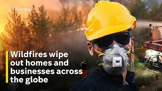 Climate Crisis: Wildfires forcing thousands to flee around globe