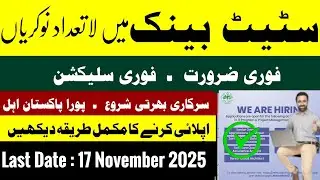 State Bank of Pakistan Jobs 2025 | Latest SBP IT Jobs | Apply Online Now | Last Date: 17 Nov 2025