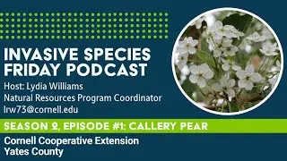 Invasive Species Friday Podcast Season 2, Episode #1: Callery Pear