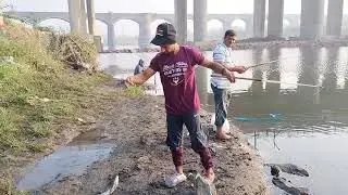 shivampet bridge tilaapiya fish# video
