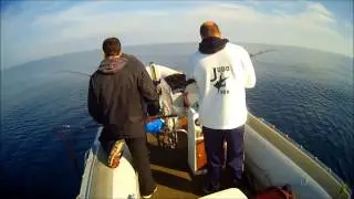 SHIMANO BOTTOM SHIP 2 dikelas.gr
