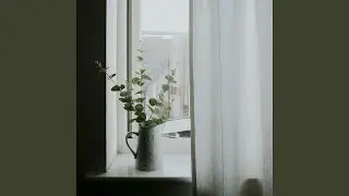 Soft Habit