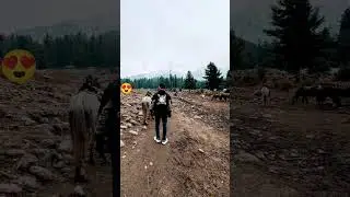 Kashmir 😍🏔️ #viral #music #travel #reels #trending #fyp #love #beautiful #kashmir #foryou
