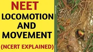 Locomotion And Movement/Class 11/NCERT/Chapter 20/Quick Revision Series/NEET/AIIMS/JIPMER/Biology