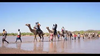 Camel Caravan 2019