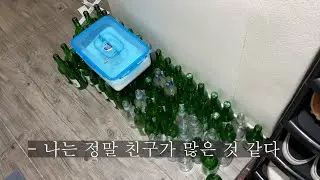 28살 취업포기남의 브이로그 #vlog  #1 in the morning