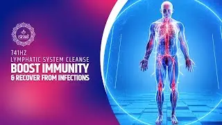 Boost Immunity and Recover from Infections: 741Hz Lymphatic System Cleanse