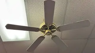 Litex Builder Ceiling Fans at Shoe Show in Pennsville NJ 